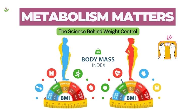 Metabolism-Matters-The-Science-Behind-Weight-Control.jpg